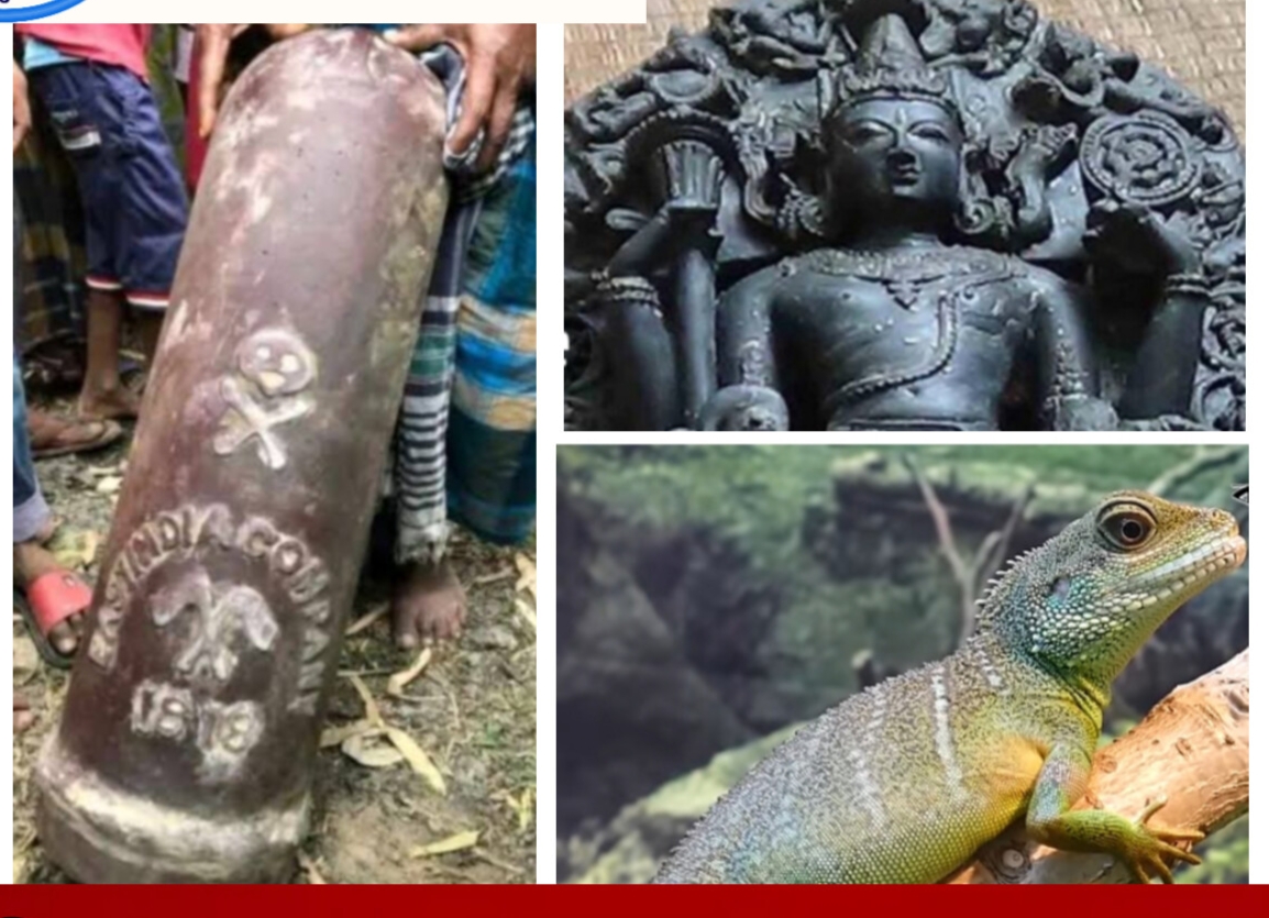 পিরোজপুরের প্রত্যন্ত অঞ্চলে প্রাচীন সীমানা পিলার, তক্ষক, কয়েন ও কষ্টি পাথর প্রতারক চক্র সক্রিয়